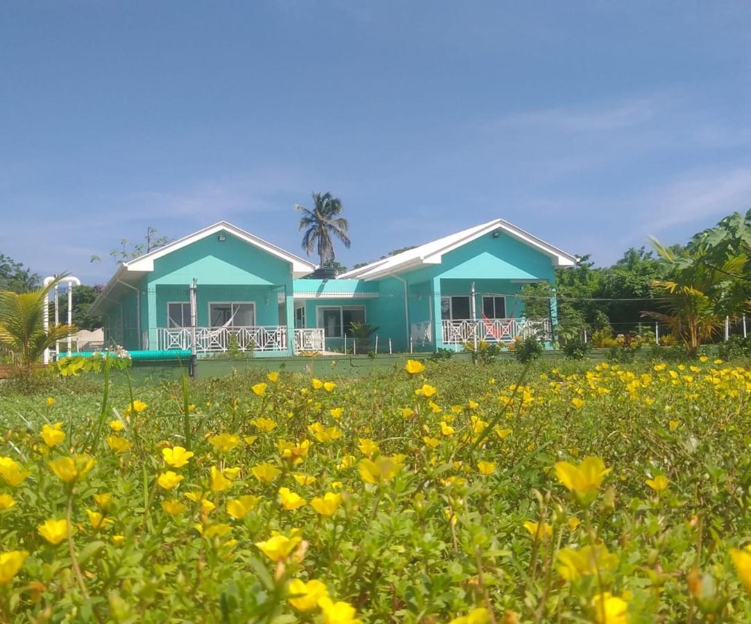 San Andrés Blue Lizard Houseヴィラ エクステリア 写真