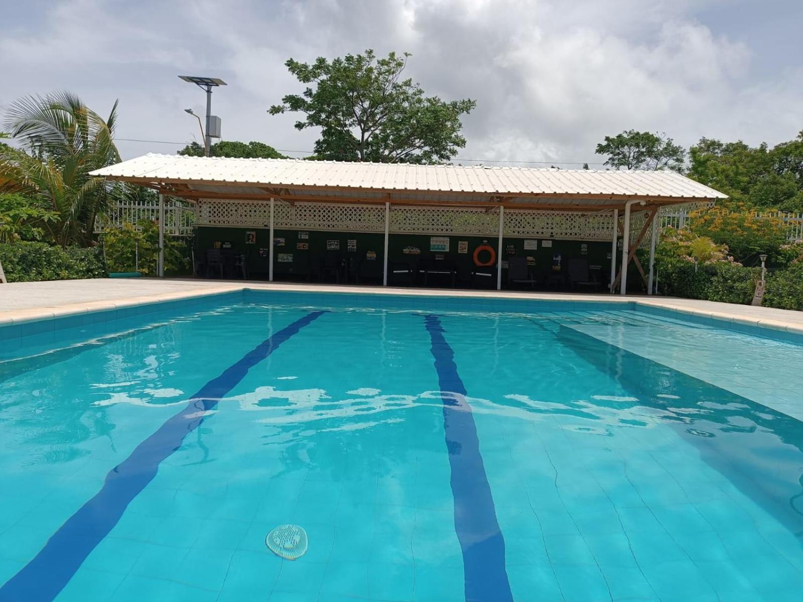 San Andrés Blue Lizard Houseヴィラ エクステリア 写真