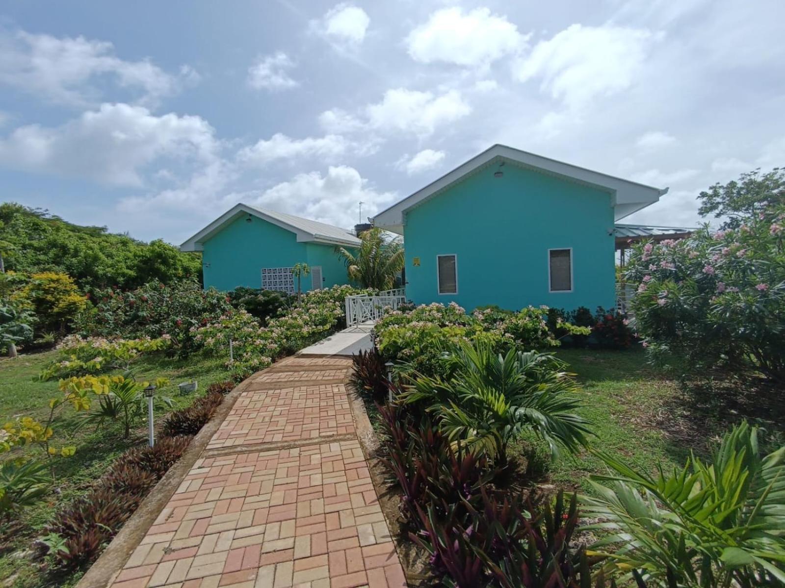 San Andrés Blue Lizard Houseヴィラ エクステリア 写真