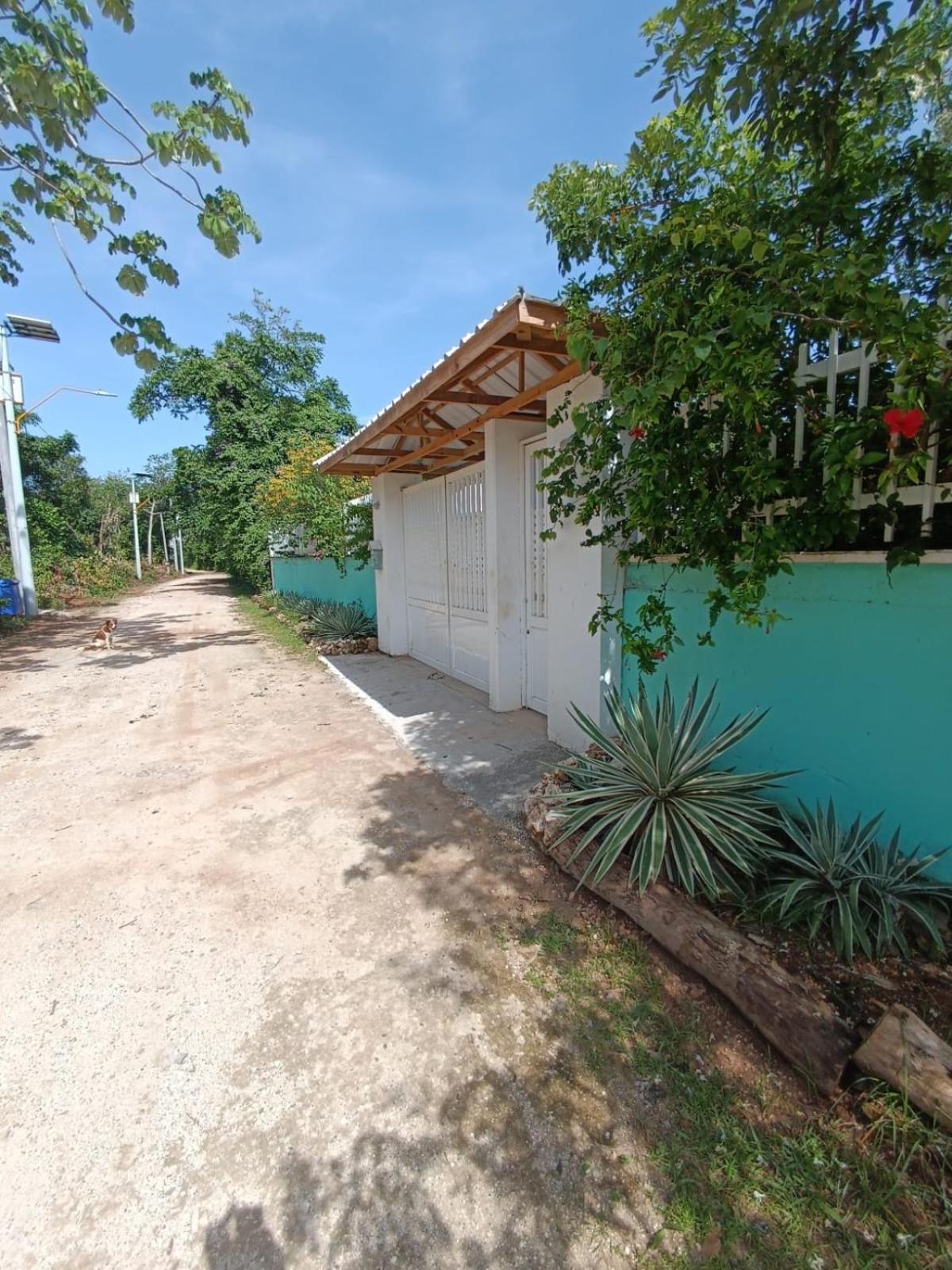 San Andrés Blue Lizard Houseヴィラ エクステリア 写真