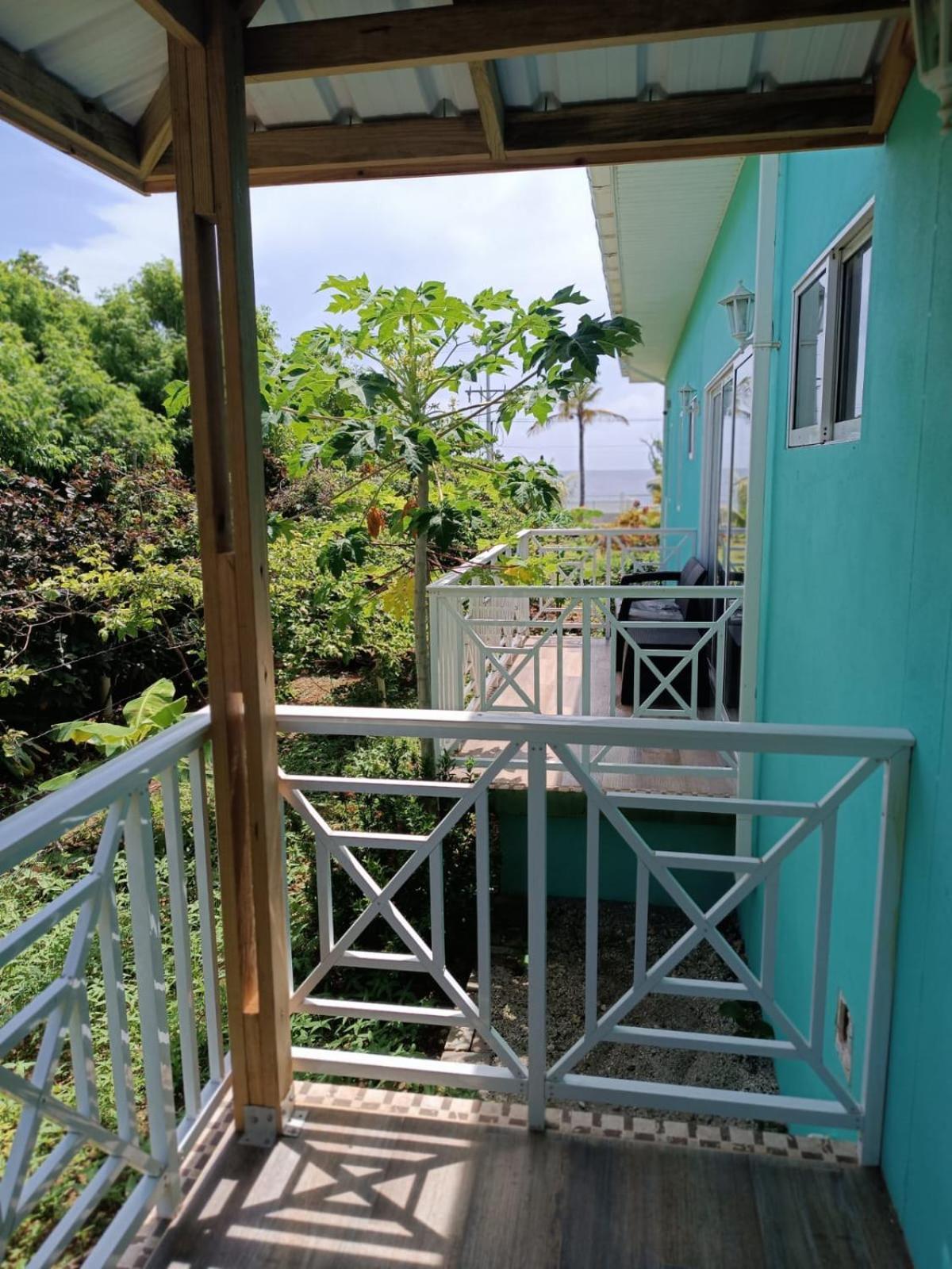 San Andrés Blue Lizard Houseヴィラ エクステリア 写真