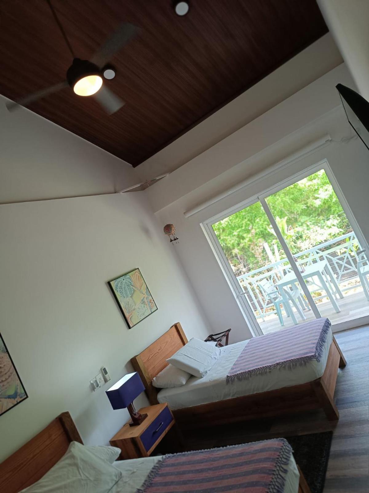 San Andrés Blue Lizard Houseヴィラ エクステリア 写真
