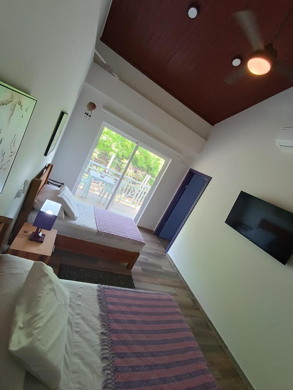 San Andrés Blue Lizard Houseヴィラ エクステリア 写真