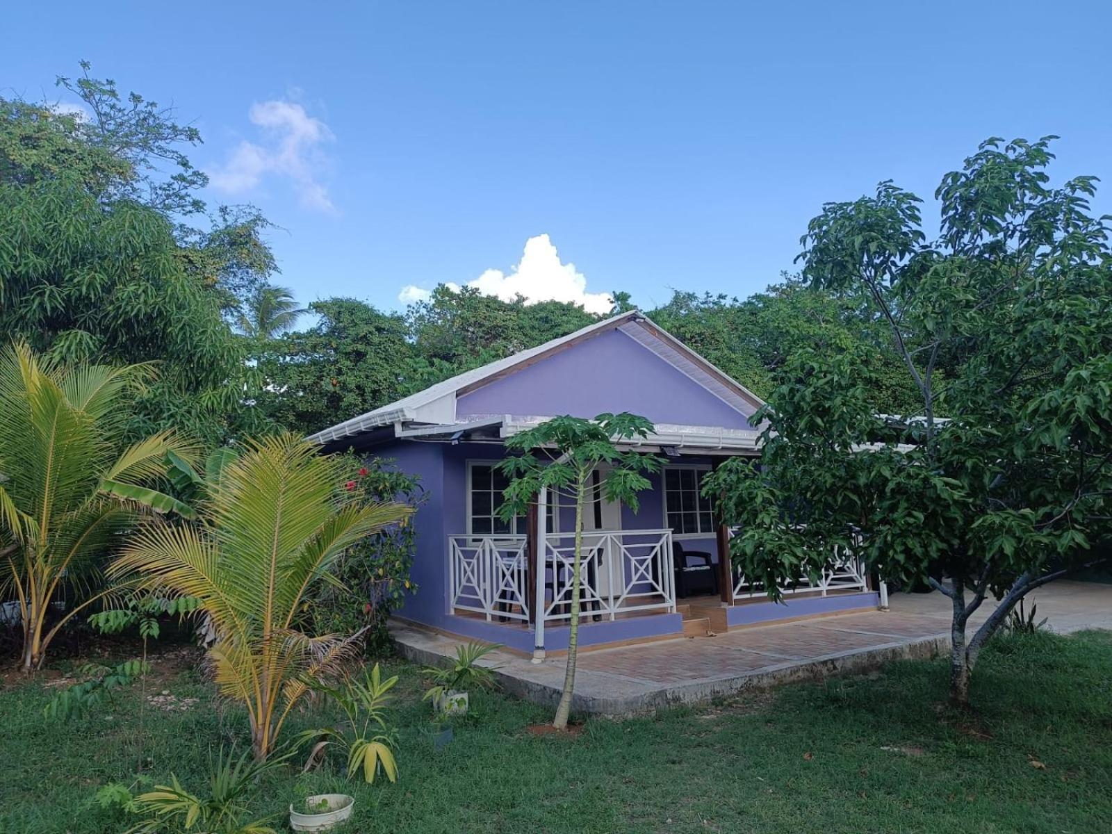 San Andrés Blue Lizard Houseヴィラ エクステリア 写真