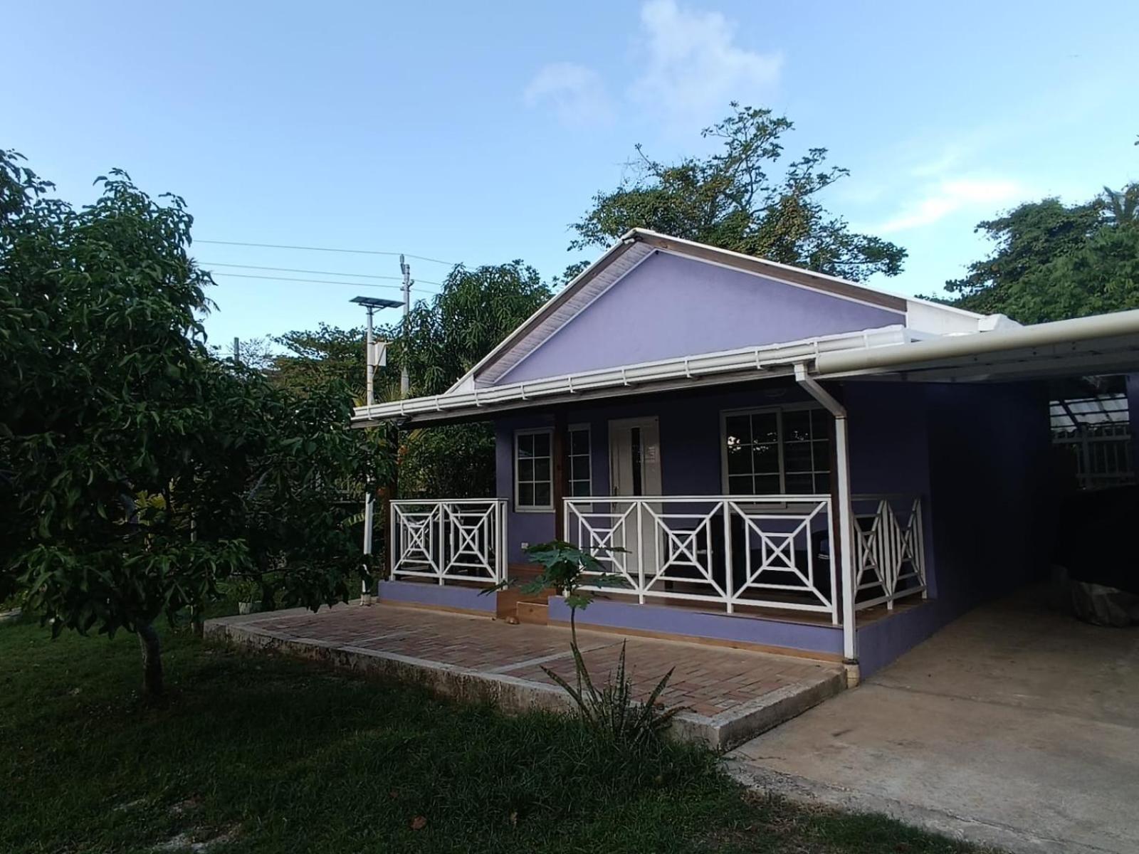 San Andrés Blue Lizard Houseヴィラ 部屋 写真
